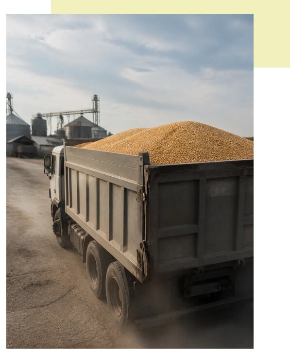 Перевозка сельхозпродукции навалом в Щекино по цене от 3088 р. | Агросервис-Екн
