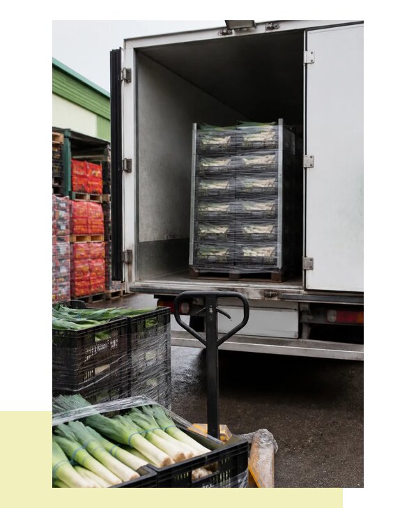 Перевозка лука порея в Щекино с соблюдением температурного режима